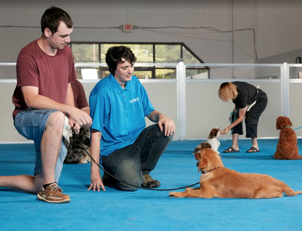 TK-9 employee showing a customer how to train his dog
